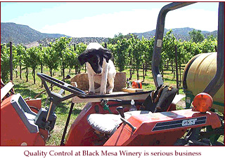 black mesa winery black mesa winery